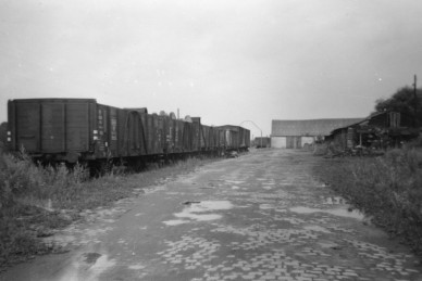 Baardegem - Z29492 - Baardegem - DE RIDDDET Firmin.jpg